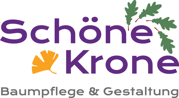 Schöne Krone – Baumpflege & Gestaltung in Dresden
